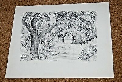 400x270 Vintage Elsa West Original Pencil Drawing Maine Me Forest Path - Forest Pencil Drawing