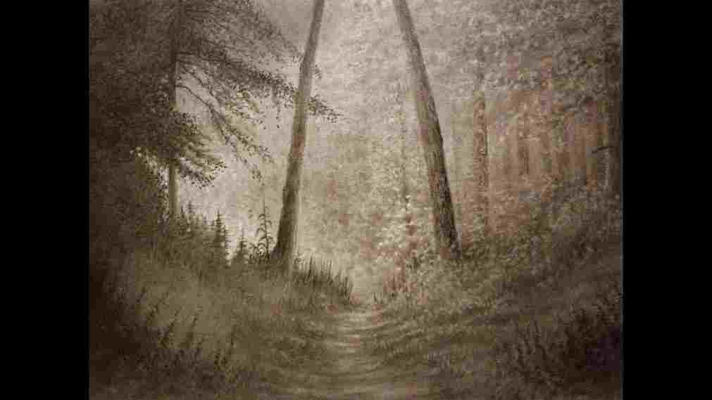 1011x569 landscape pencil sketch of forest pencil drawing of a forest - Forest Pencil Drawing