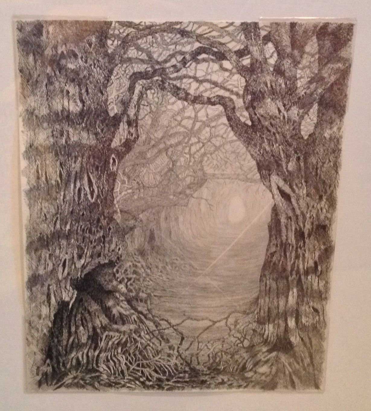 1229x1360 Cassell, David Enchanted Forest, Original Pencil Drawing Fine - Forest Pencil Drawing