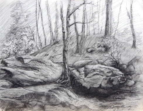489x380 Forest Scene - Forest Scene Drawing