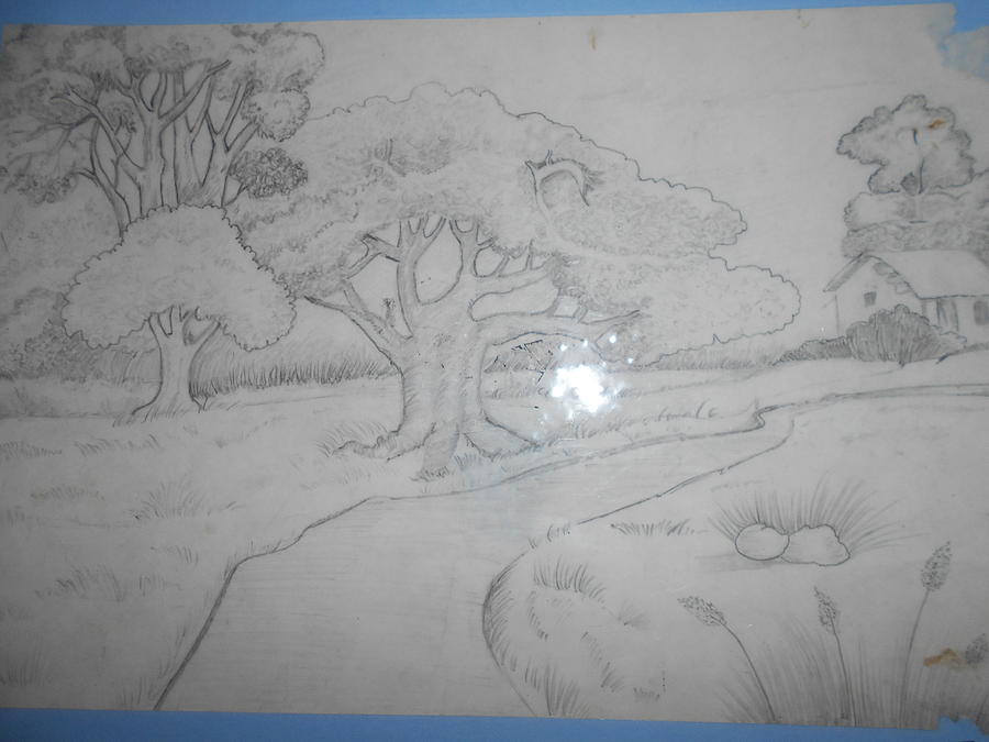 900x675 Forest Scene Drawing - Forest Scene Drawing