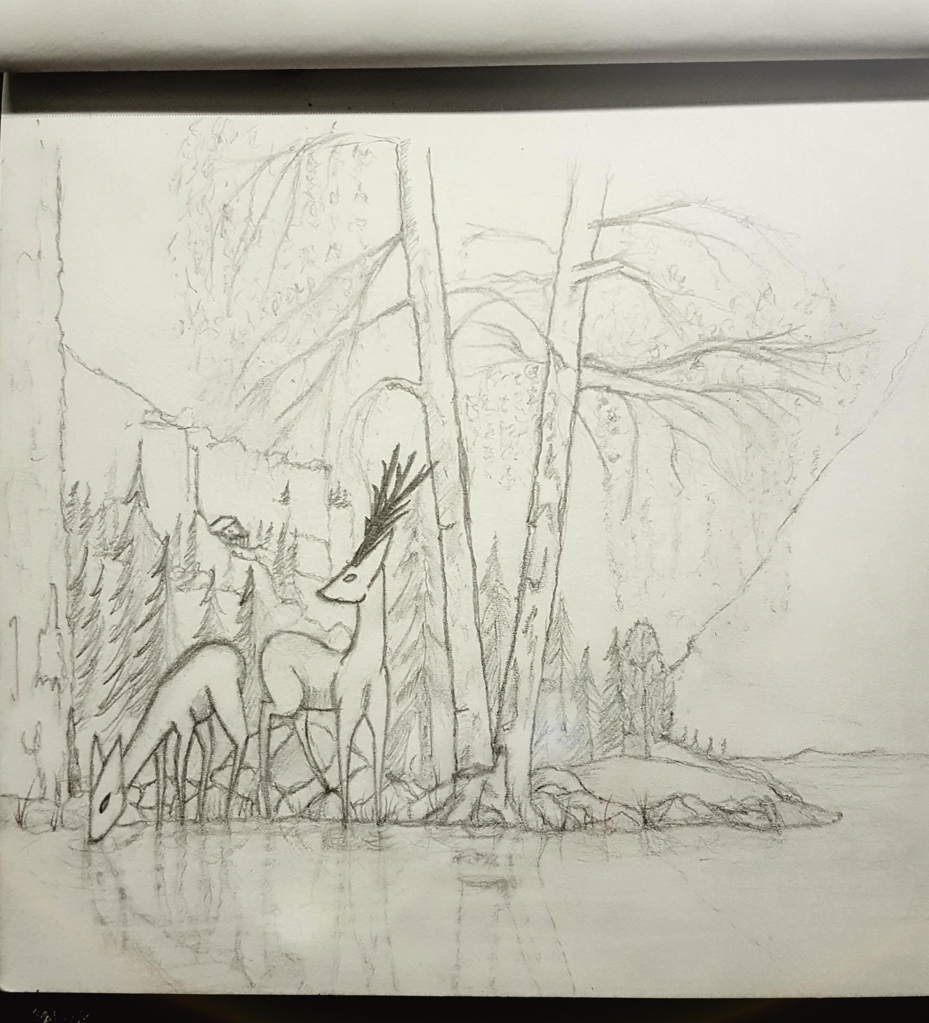 1806x1988 Forest Scene Sketches - Forest Scene Drawing
