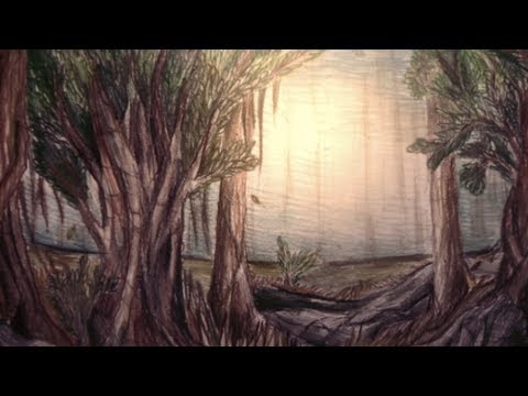 480x360 Forest Scene Speed Drawing - Forest Scene Drawing