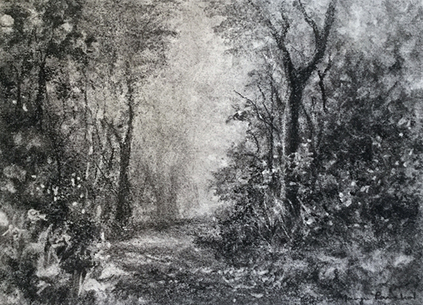 599x432 Paintings And Drawings - Forest Scene Drawing