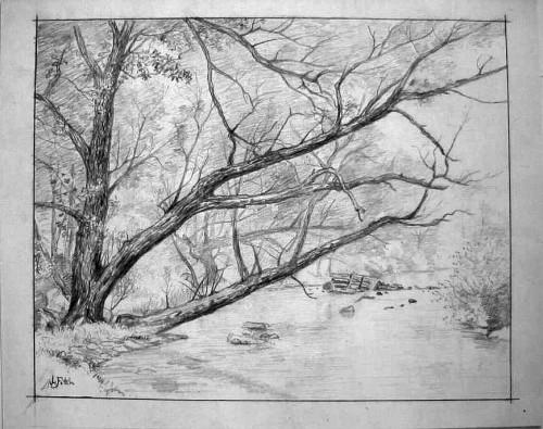 500x395 Fitch Family - Forest Scene Drawing