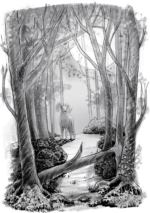 640x908 Ram In The Deep Forest - Forest Tattoo Drawing