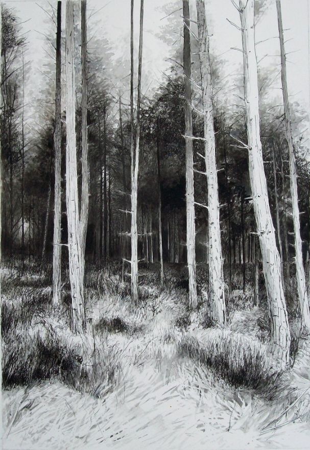 607x881 Entrance, Ink Drawing Of A Forest - Forest Trees Drawing