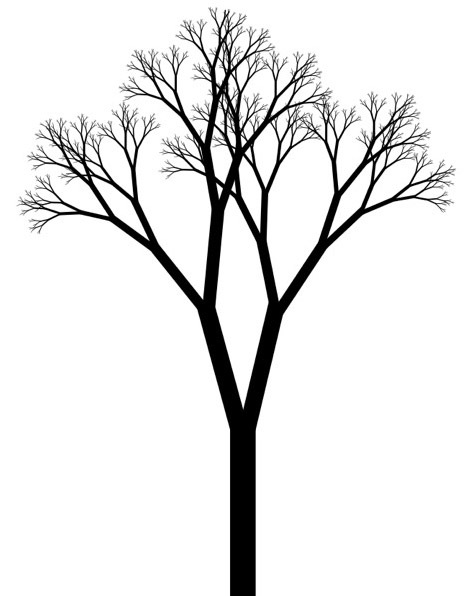 470x596 Forest Trees Drawing - Forest Trees Drawing