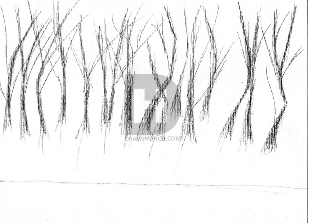 996x720 How To Draw An Eerie Forest, Step - Forest Trees Drawing
