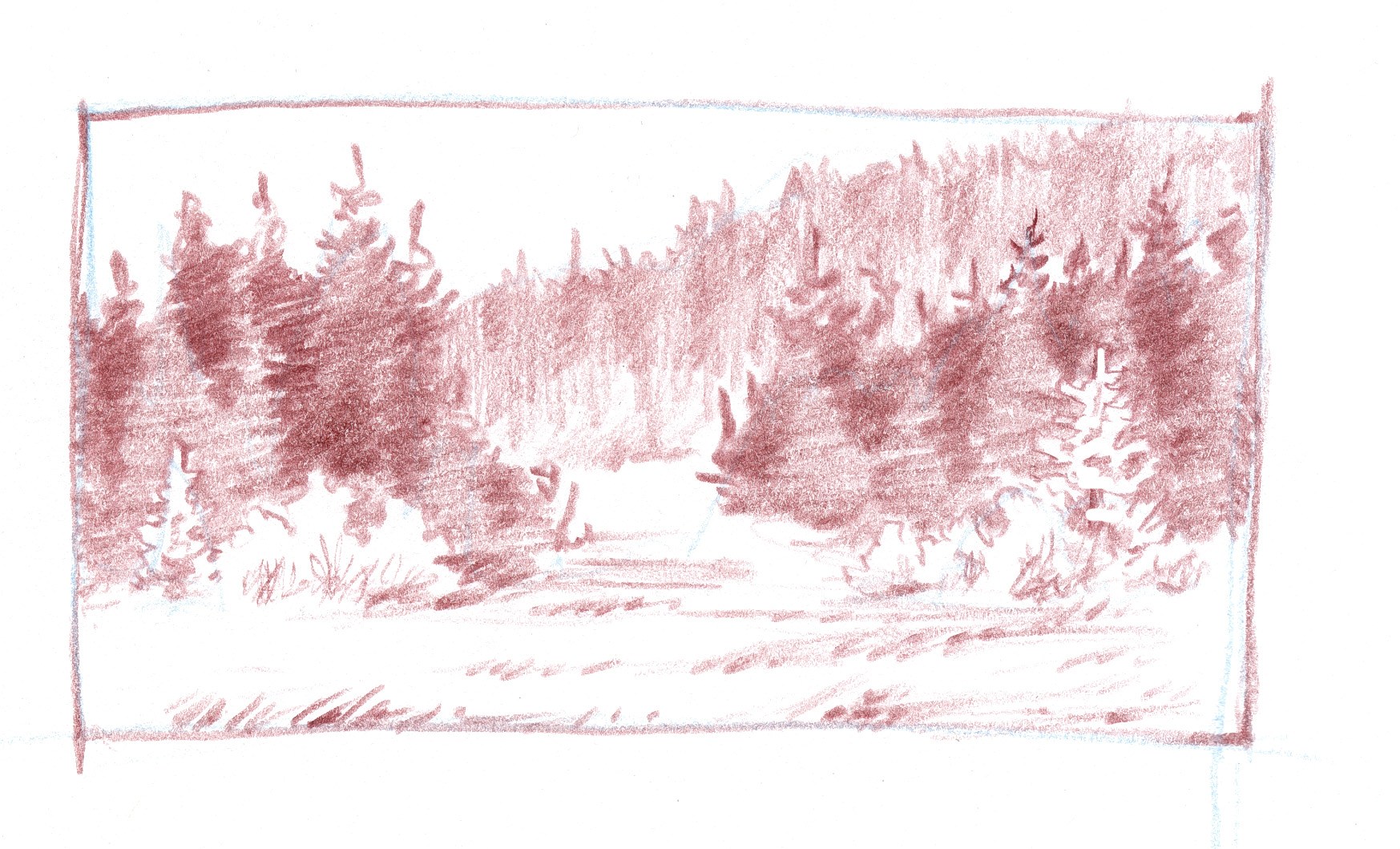 1747x1059 How To Draw Coniferous Forests - Forest Trees Drawing