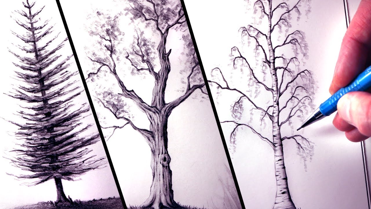 1280x720 How To Draw Trees - Forest Trees Drawing