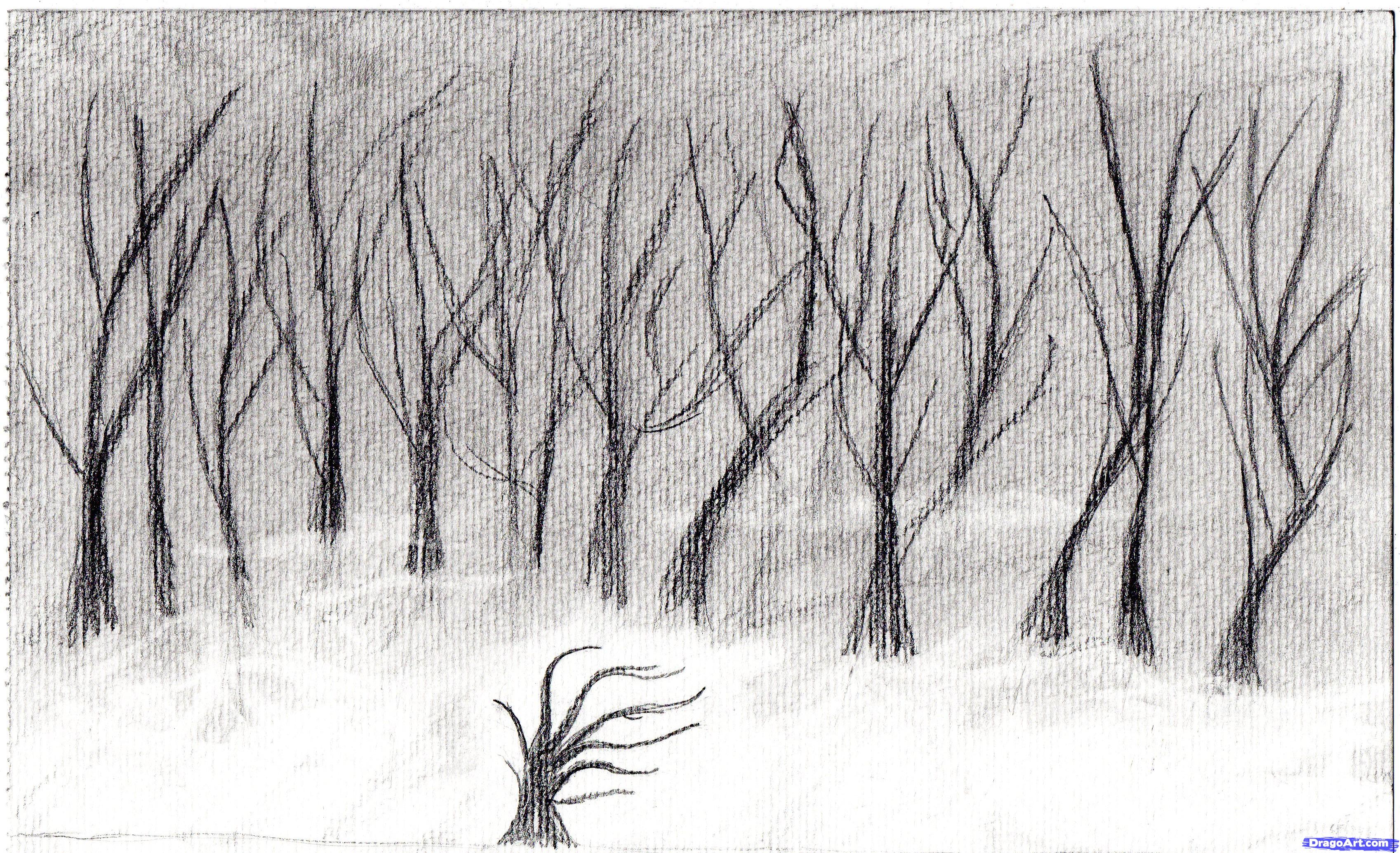 3395x2069 How To Draw An Eerie Forest, Step - Forest Trees Drawing