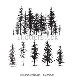 236x246 Pine Tree Drawings Black And White Stencils Fur Tree - Forest Trees Drawing