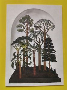 223x300 Postcard Botanical Drawing Forest Trees Tree Plants Image Picture - Forest Trees Drawing
