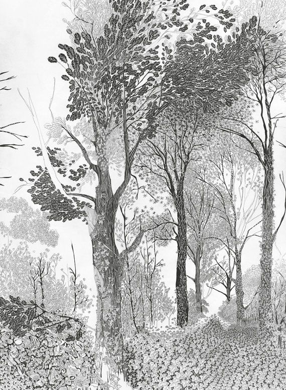 570x778 Tree Drawing, Woodland Print, Forest Tree Art Print, Beautiful - Forest Trees Drawing