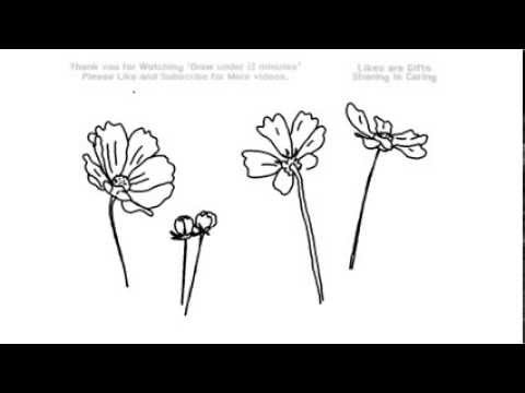 480x360 How To Draw Forget Me Not Flowers Under Minutes Yzarts - Forget Me Not Drawing