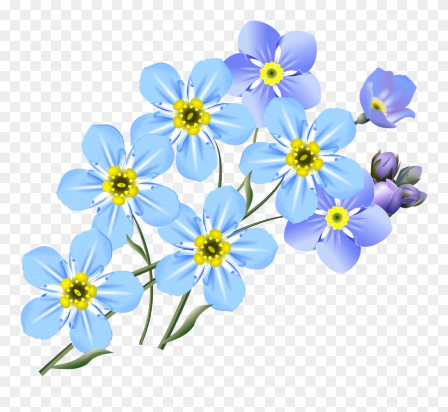 880x810 More Images Of Forget Me Not Clip Art Free - Forget Me Not Drawing