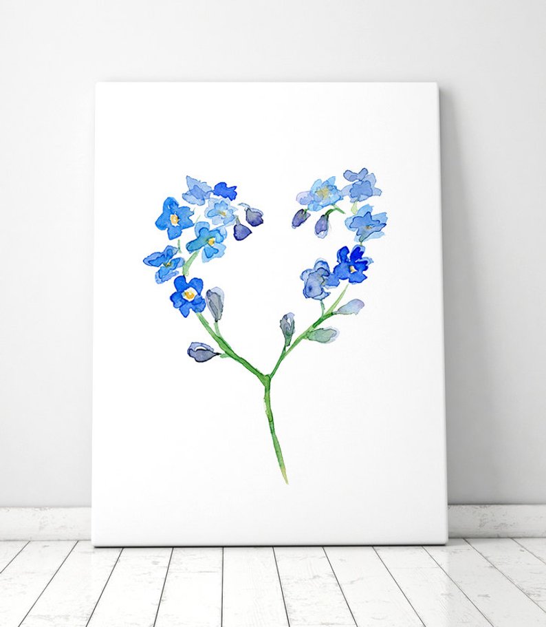 794x911 Flower Watercolor Painting Forget Me Not Flower Valentine Etsy - Forget Me Not Flower Drawing
