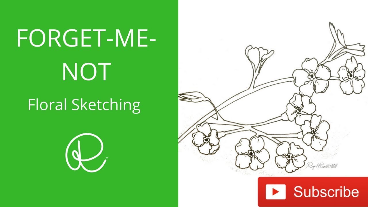 1280x720 Forget Me Not Flowers Pencil Sketch - Forget Me Not Flower Drawing