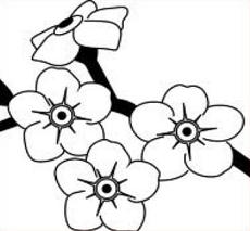230x213 Free Forget Me Not Clipart - Forget Me Not Flower Drawing