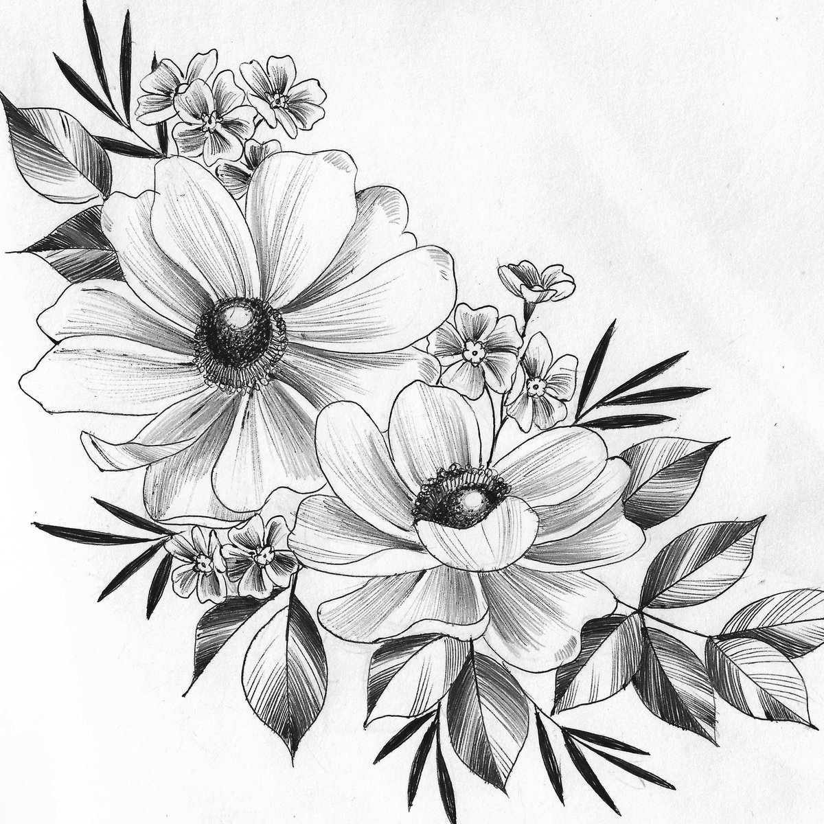 Forget Me Not Flower Sketch