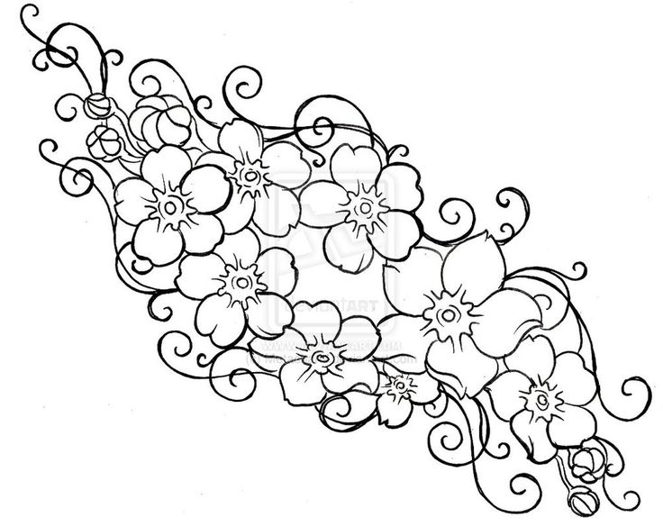 736x584 Forget Me Not Tattoo Black And White - Forget Me Not Flower Drawing