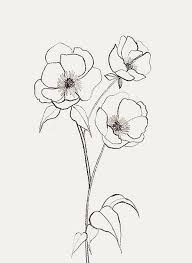 192x263 Billedresultat For Forget Me Not Tattoo Black And White Tats - Forget Me Not Flower Drawing
