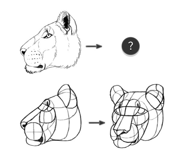 600x526 Think With Forms, Not Lines Take Your Drawing To The Next Level - Form Drawing