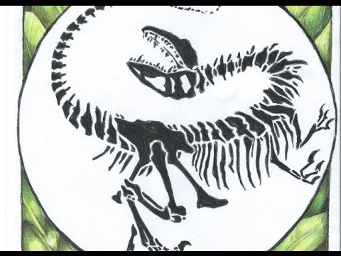 480x360 drawing a velociraptor skeletonfossil - Fossil Drawing
