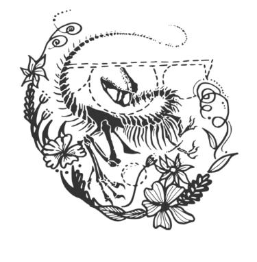 375x382 Original Abstract Animal Black White Drawings For Sale Saatchi Art - Fossil Drawing