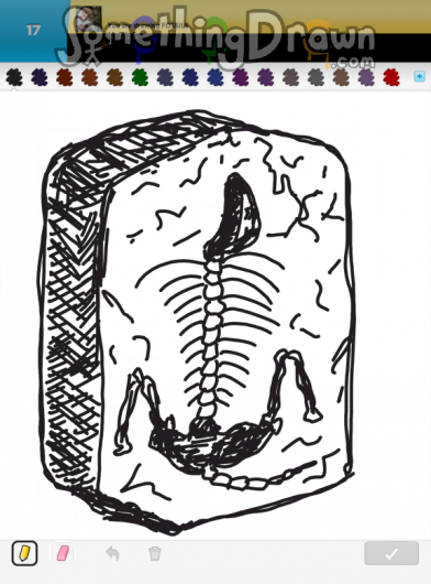 392x530  - Fossil Drawing