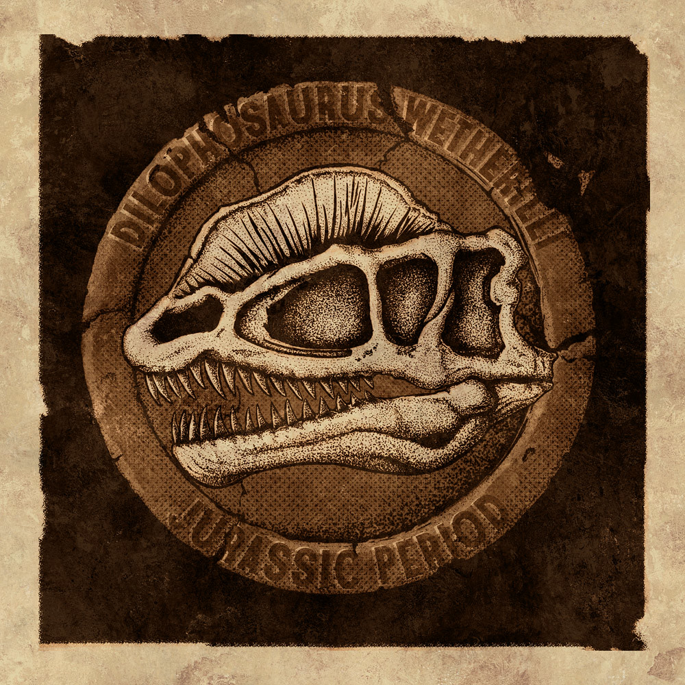 1000x1000 the world's best photos of drawing and fossil - Fossil Drawing