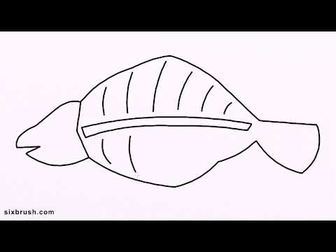 480x360 k how to draw fossil for kids step - Fossil Drawing