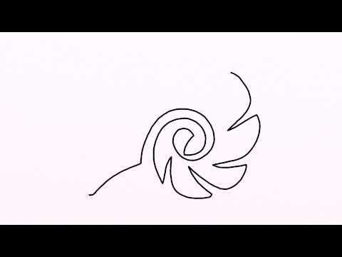 480x360 how to draw fossil easy drawing for kids step - Fossil Drawing