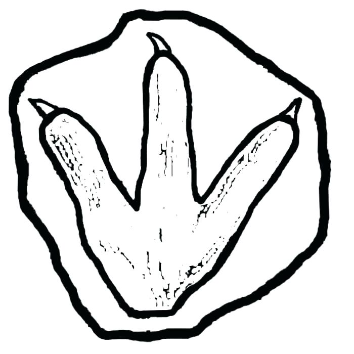 700x700 dino drawing fossil for free download - Fossil Drawing