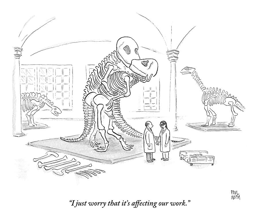 900x772 A Male And Female Paleontologist Drawing - Fossil Drawing