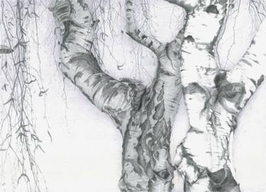 375x270 Pencil Drawings For Sale Saatchi Art - Foto Drawing