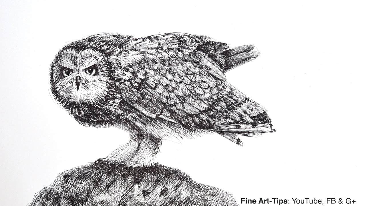 1280x720 how to draw an owl with the justus fountain pen - Fountain Pen Drawing