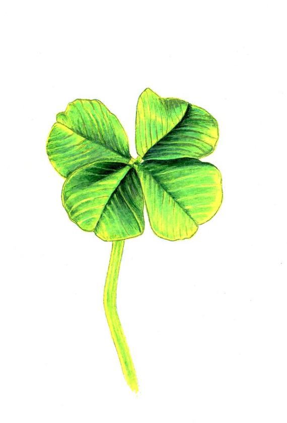 570x839 Four Leaf Clover Print Digital Print Of An Original Drawing Etsy - Four Leaf Clover Drawing