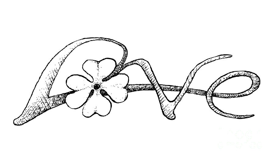 900x524 Hand Drawn Of Four Leaf Clovers With Love Sign Drawing - Four Leaf Clover Drawing
