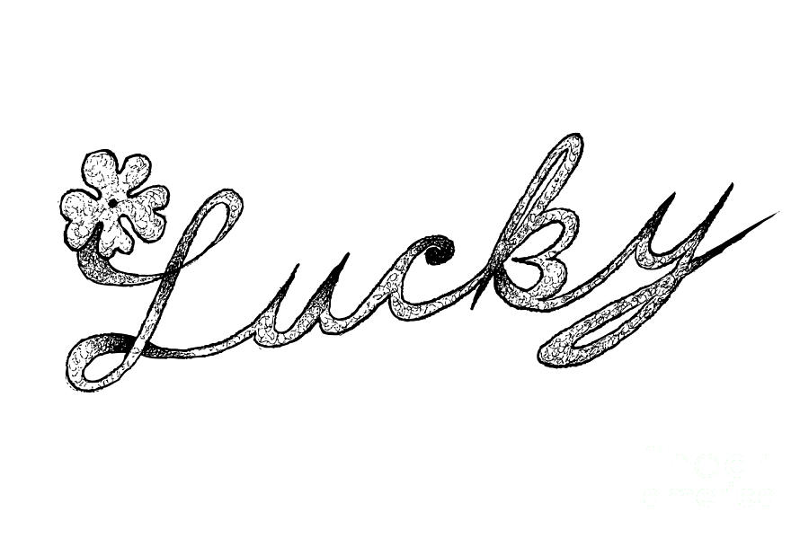 900x599 Hand Drawn Of Four Leaf Clovers With Lucky Sign Drawing - Four Leaf Clover Drawing