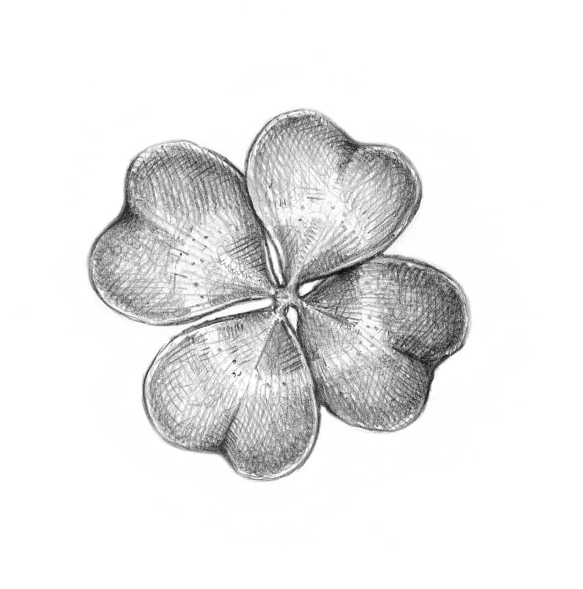 Four Leaf Clover Drawing At Paintingvalley Com Explore Collection Of Four Leaf Clover Drawing