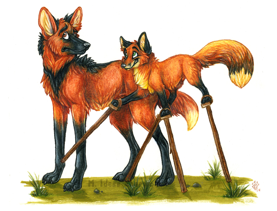 900x687 Idess Fox On Stilts Print Online Store Powered - Fox And Wolf Drawi...