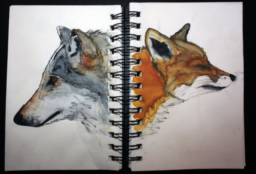 500x340 Dirty Pictures Pretty Words Shared - Fox And Wolf Drawing