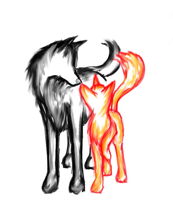 593x739 Fox And Wolf Drawing - Fox And Wolf Drawing