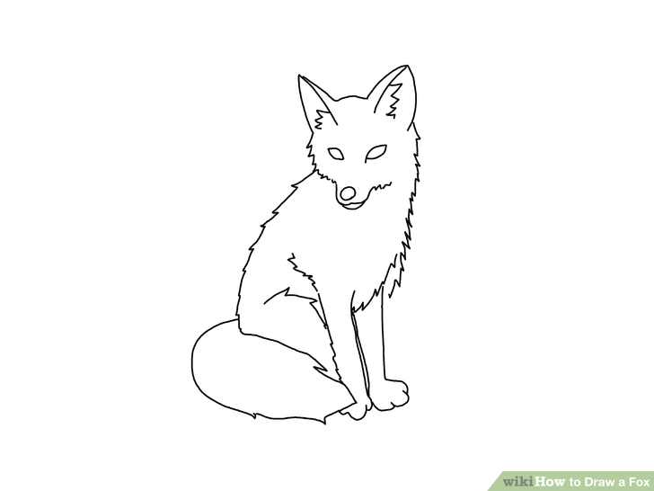 728x546 Ways To Draw A Fox - Fox Animal Drawing