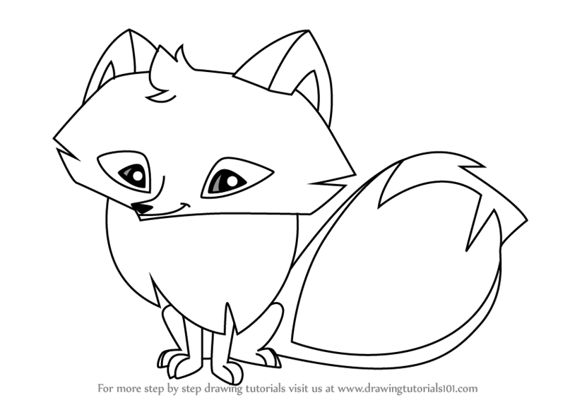 800x567 Learn How To Draw Arctic Fox From Animal Jam - Fox Animal Drawing