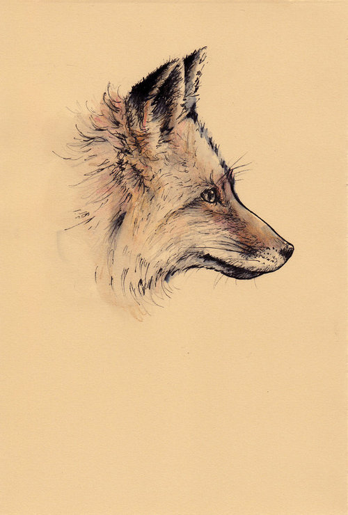 500x740 Animals, Art, Draw, Drawing, Fox - Fox Animal Drawing