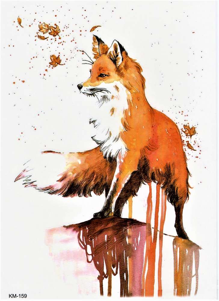 728x1000 Fox Animal Drawing Colorful - Fox Animal Drawing