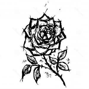 300x300 Fox Black And White Drawing Fox Face Sketch Vector Graphics Black - Fox Black And White Drawing